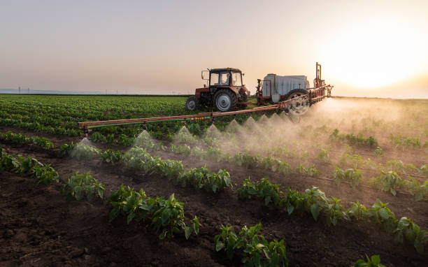 Best Pest Prevention Services  in Cherryland, CA
